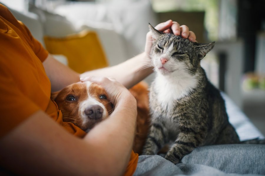 AdobeStock_678810943